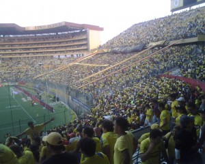 Estadio