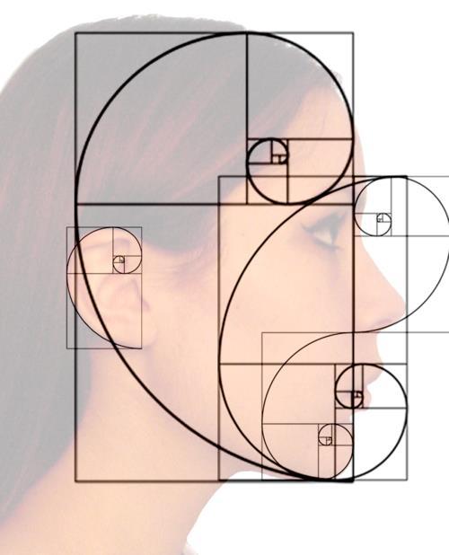 Fibonacci proporciones aureas