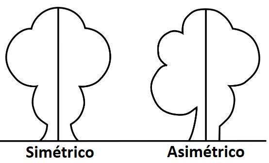 simétrico Asimetrico