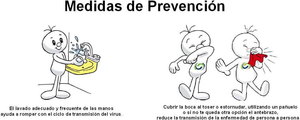 prevenir gripe pasos
