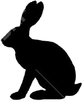 conejo perfil sombra