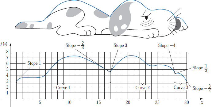 mascota descansando 01 png