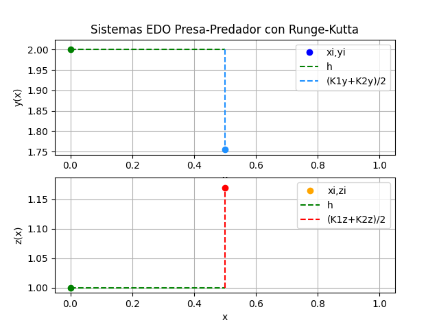 EDO Presa Predador GIF animado