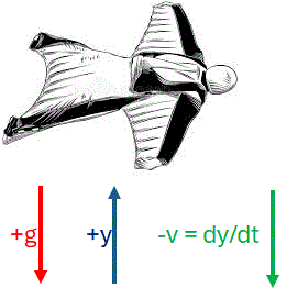 wingsuit diagrama cuerpo libre 02