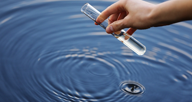 bacterias Lago tubo muestra