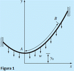 Cable Catenaria Fig 01