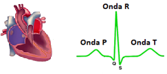 Pulso Cardiaco EKG