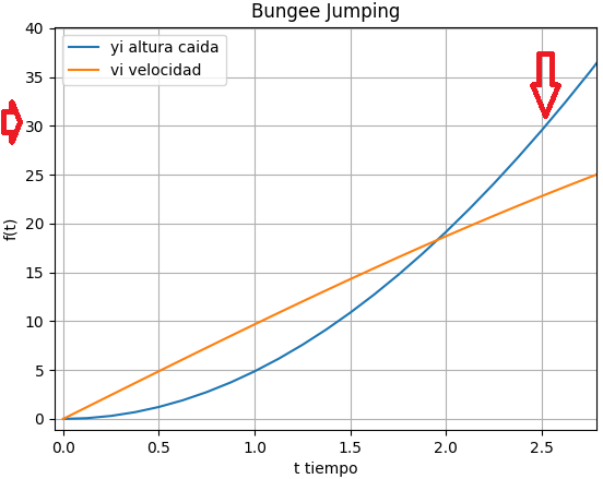 Salto Bungee 03