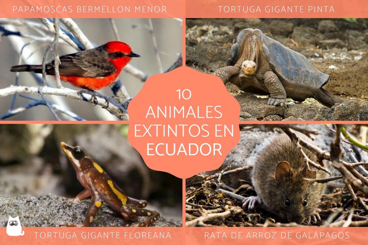 animales extintos en ecuador