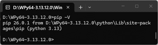 pip  version winpython