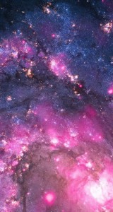 11049499_962646610475493_8552935877953181791_n (1)