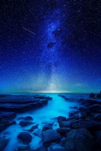 12250151_962647173808770_965695379987542027_n