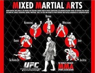 world of mixed martial arts wmma 5