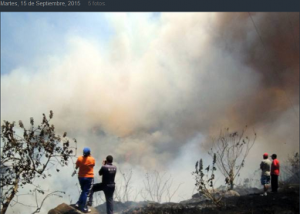 incendio forestal imagen cerca campus