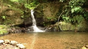 5470867769_4beee88350_o