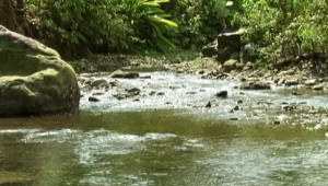 5470867773_57be520c9f_o