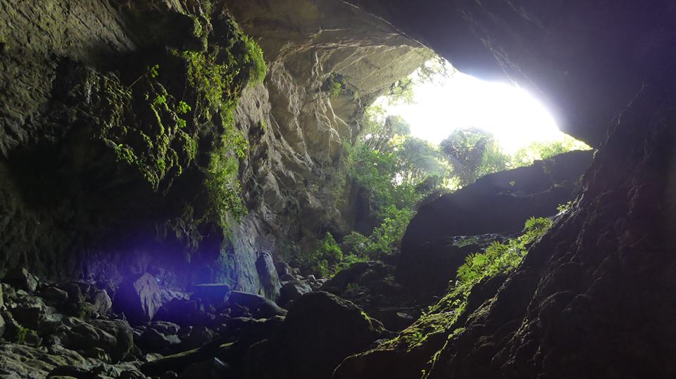 Gruta de los guacharos
