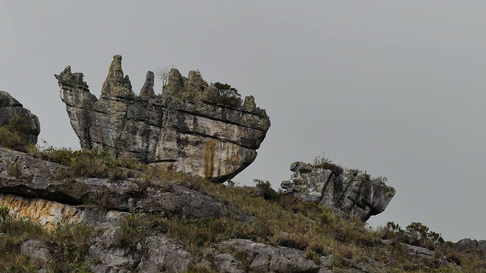 Bosque de piedra el pilco
