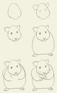 how-to-draw-hamster