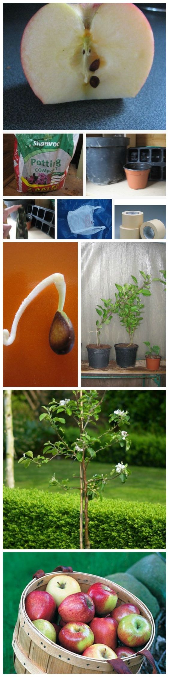 80c6263553e111f59657975983a0a282