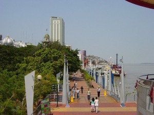 El bello y muy visitado Malecón 2000, en su actualidad.