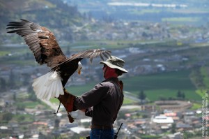 parque condor