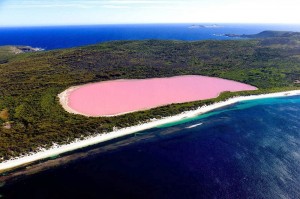 Sin duda alguna lo mas extraño de este lago es su color rosa su color es permanente y aun no hay una explicación científica del porque.