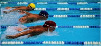 Swimming-race1