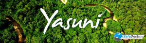 yasuni2