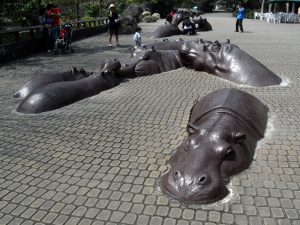 hippo-sculptures-taipei-taiwan-01