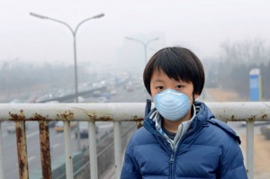 13047998_1269636689731904_1208779007744767166_o