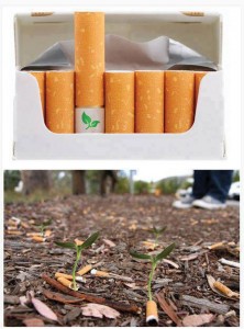 Cigarrillo orgánico