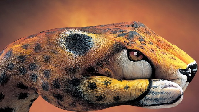 diseños-animales-pintura-artistica_01