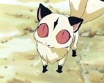inu6