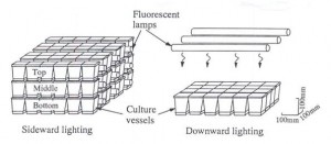 Iluminacion distribuida en ambientes controlados