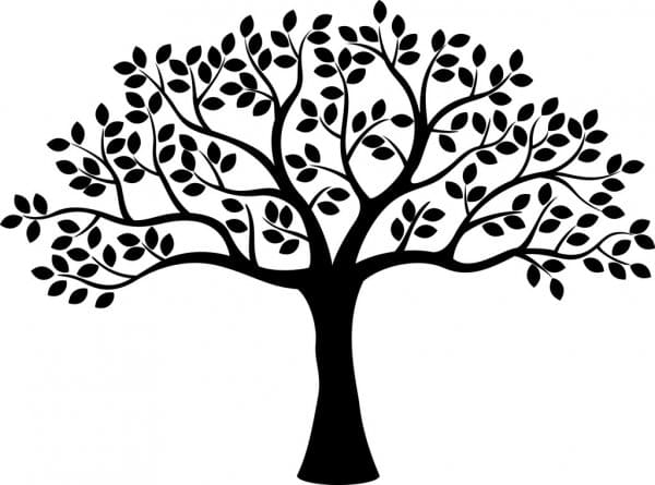 Conoces cuál es el significado verdadero del árbol de la vida? – Internet  al día: blog de la ESPOL