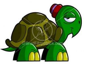turtle-a002-cartoon-turtle2