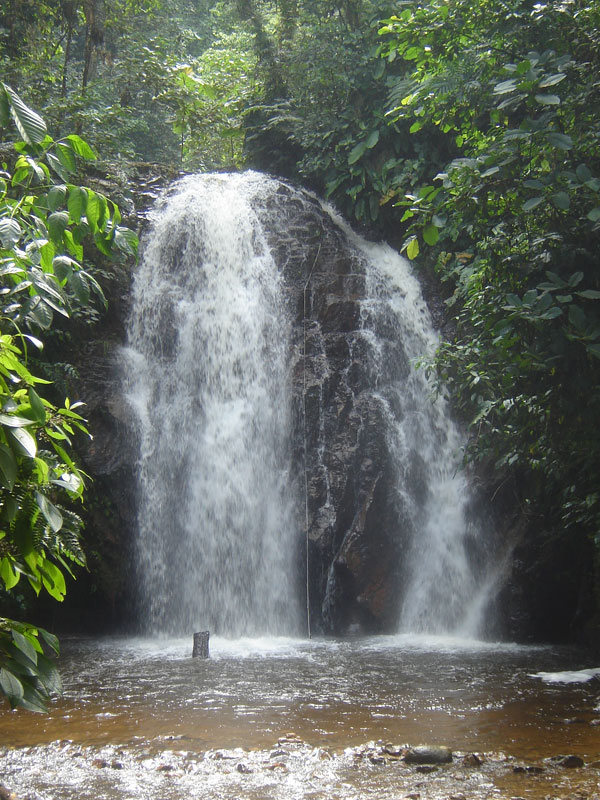 Visitas a Las Cascadas