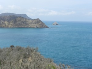 DSCN4768