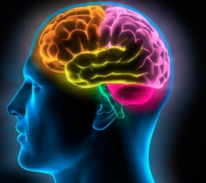 imagenes e informaciones captadas por nuestro cerebro