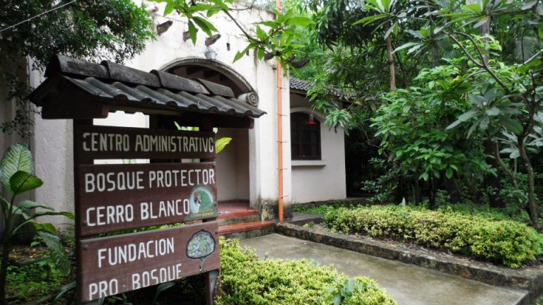 BOSQUE PROTECTOR CERRO BLANCO BOSQUES PROTECTORES