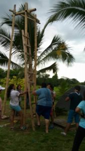 12743703_1540894826239547_441442700718830358_n