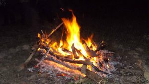 13902704_1632551007073928_1740635896568650306_n