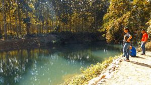 13912340_1632553497073679_6707462695841746623_n