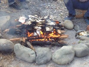 14908315_1675608416101520_763857090345492717_n