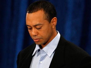 12240ba-tigerarticulop