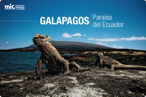 islas-galapagos-1