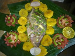 331855_296080670420501_2074293652_o