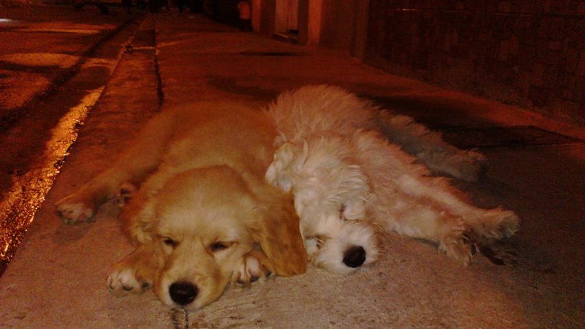 img_20140419_194420_0