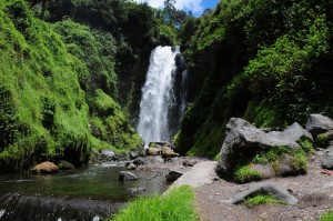 6223850123_cd385c4542_b